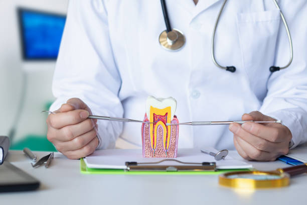 Best Broken or Cracked Tooth Emergency Dentist in Lorado City, CO
